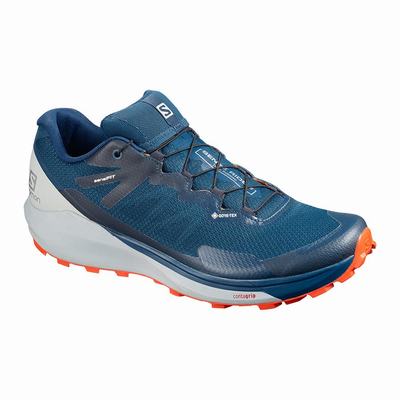 Férfi Salomon SENSE RIDE 3 GTX INVIS. FIT Futócipő SA3297068 Sötétkék